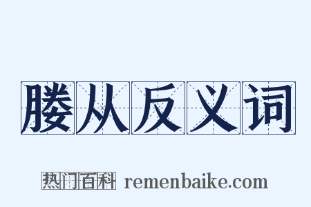 媵从反义词是什么意思的图片